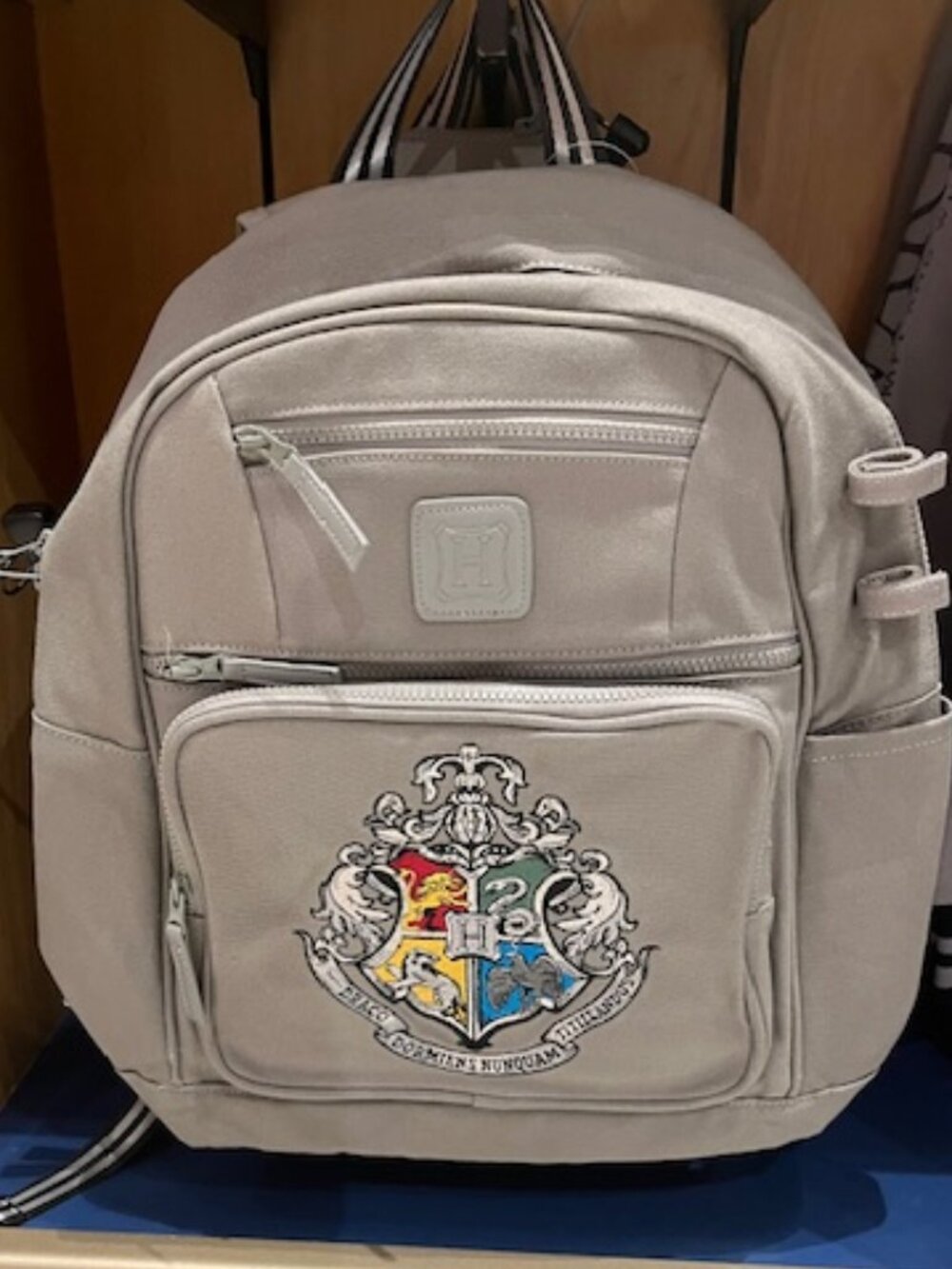 Hogwarts Backpack